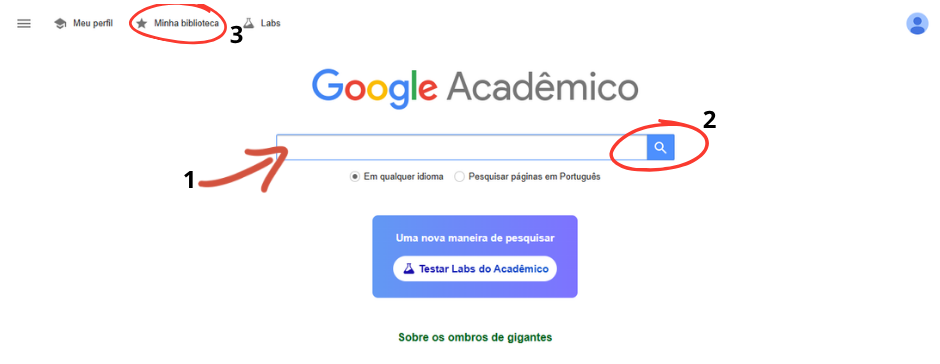 Print de tela das bases acadêmicas - Google