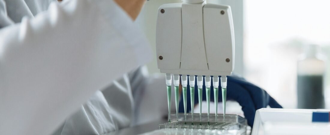 Como funciona a Iniciação Científica? O Guia Completo para Universitários